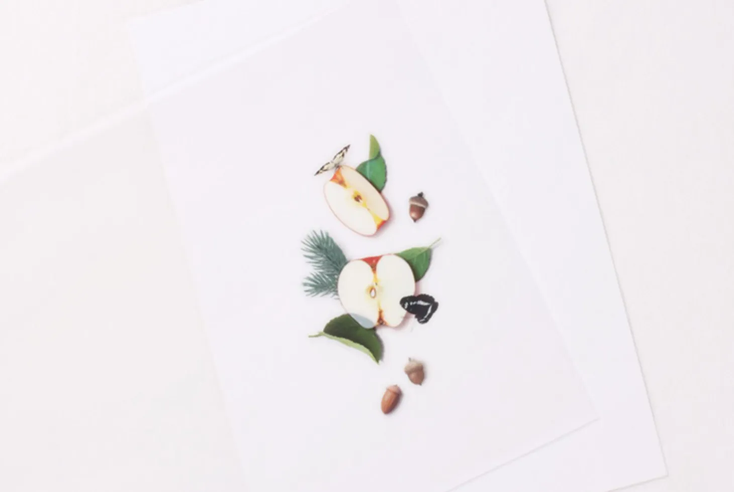 Apple Pressed Fruit Sticker