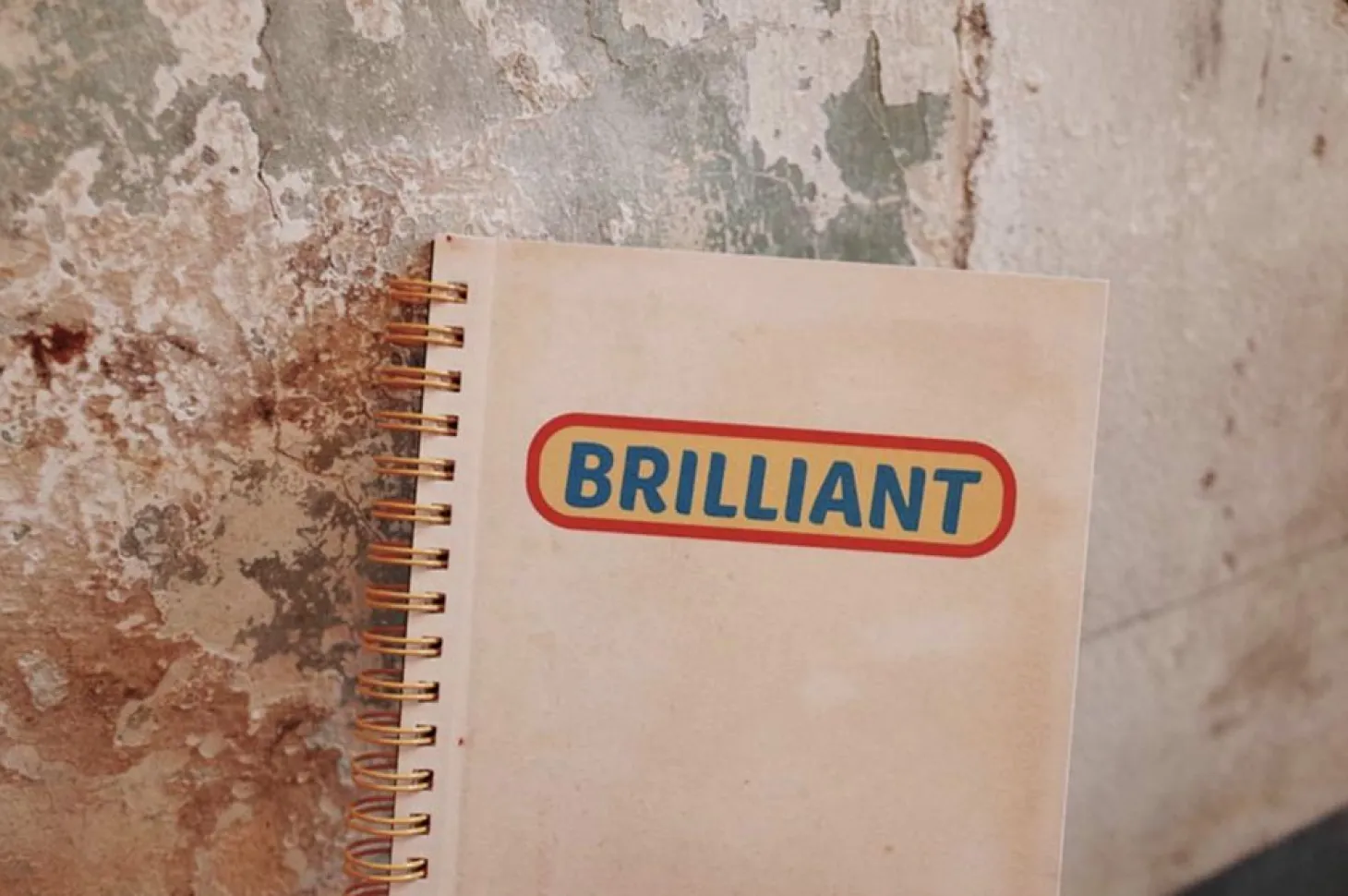 Brilliant Idea Notebook