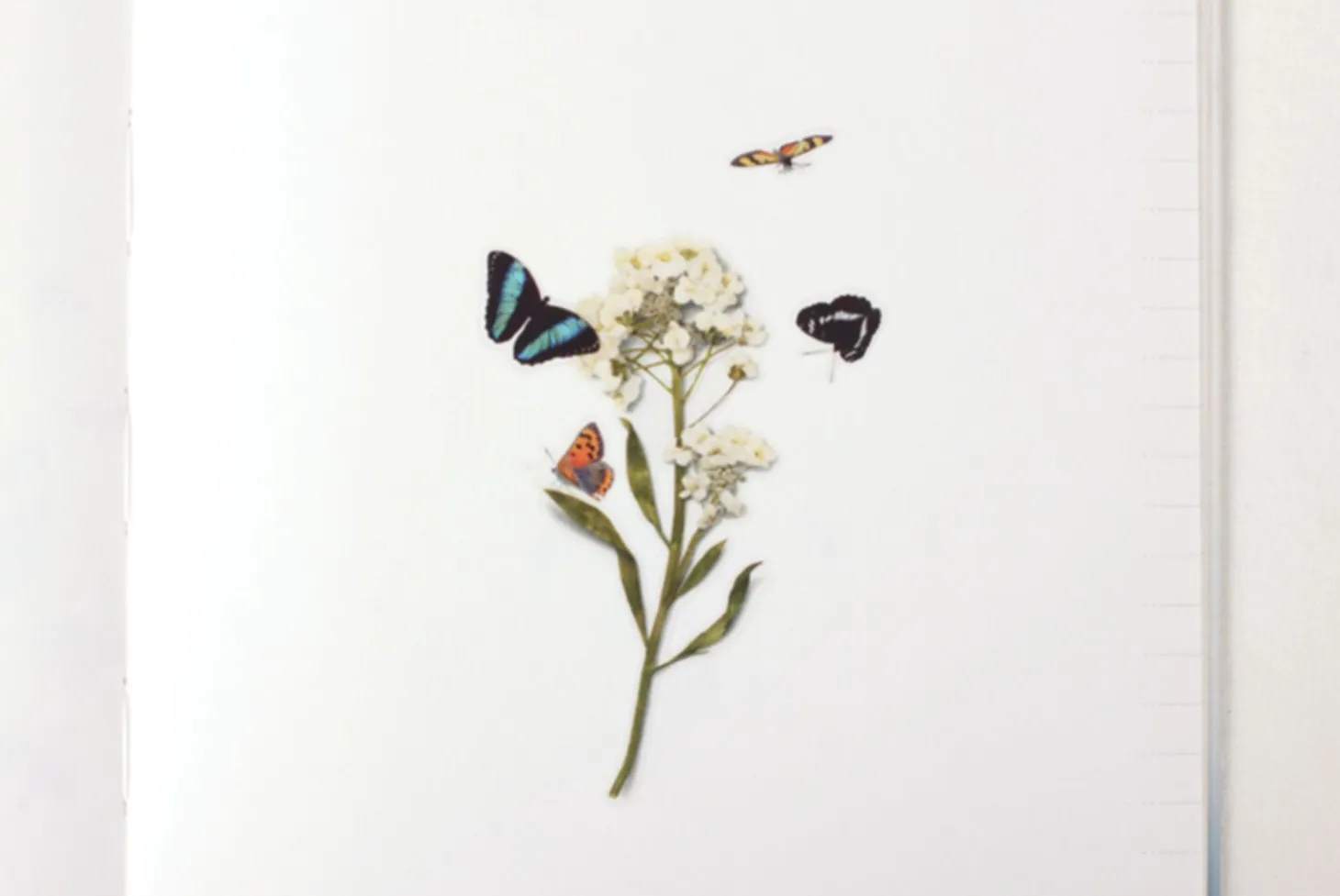 Butterfly Nature Sticker