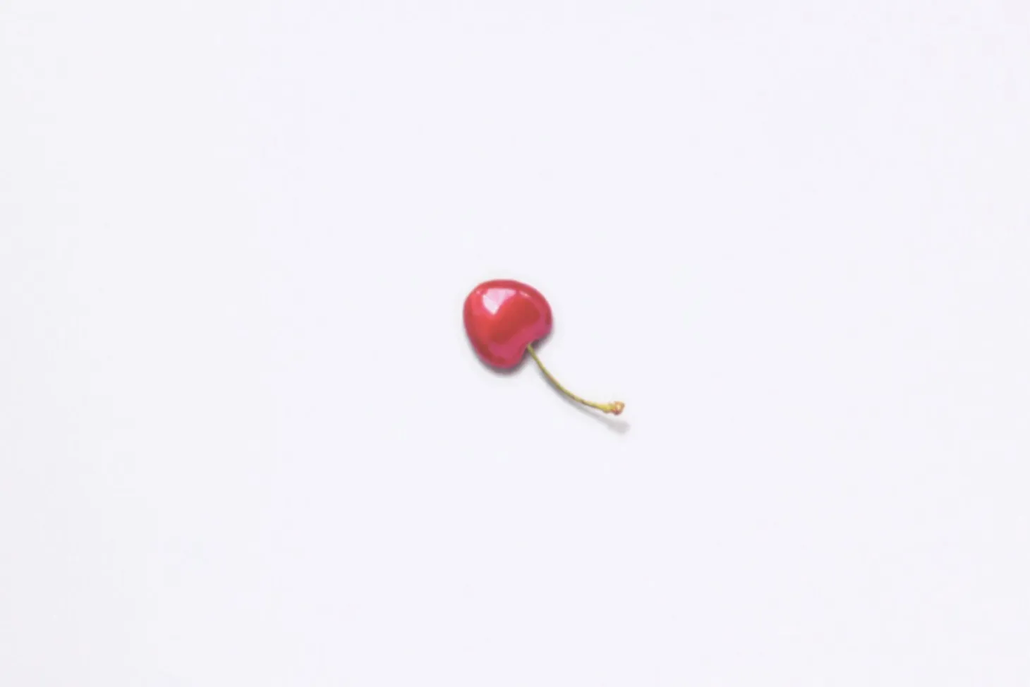 Cherry Pressed Fruit Sticker