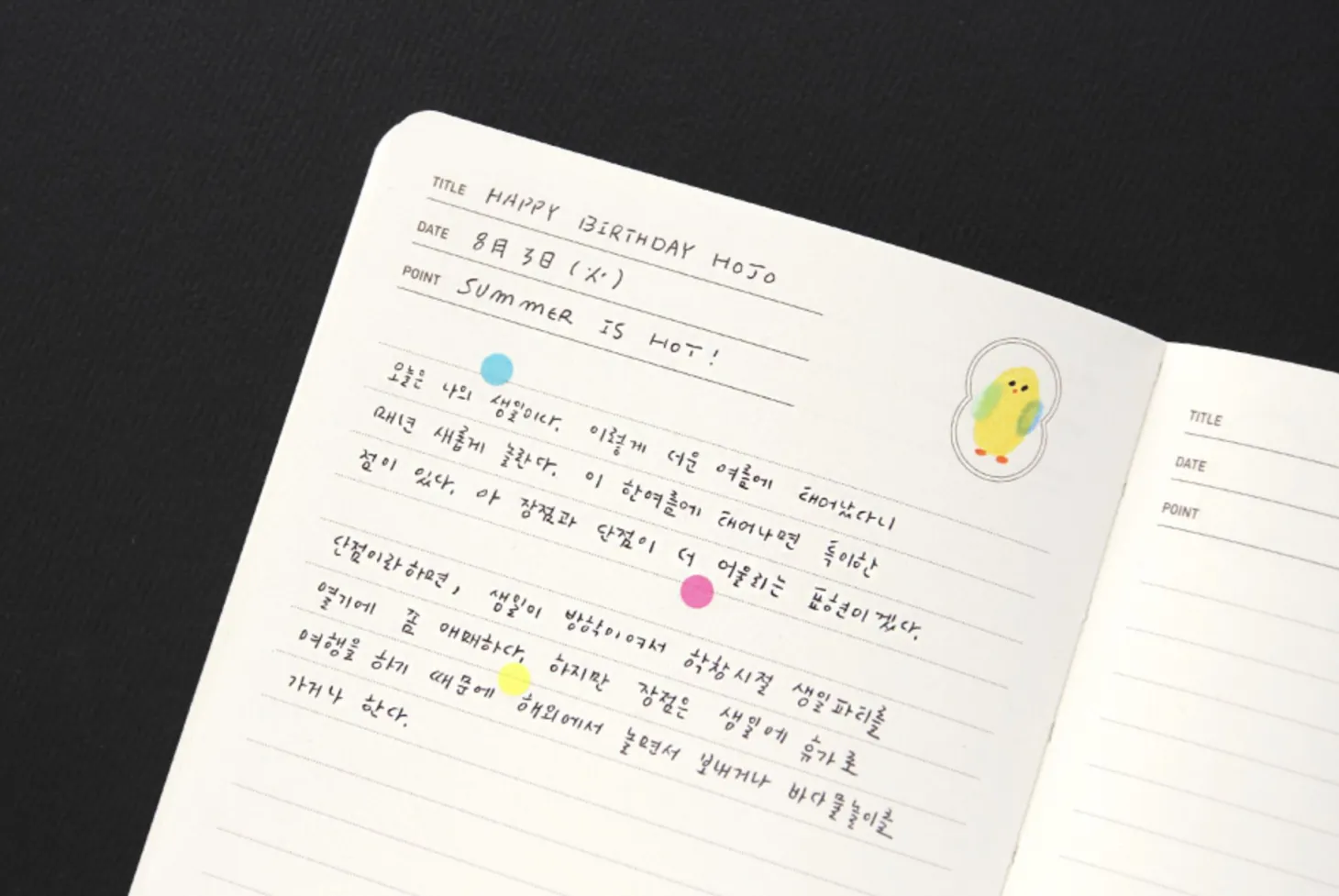 Classic Lined Journal