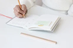Color Basic B6 File Notebook