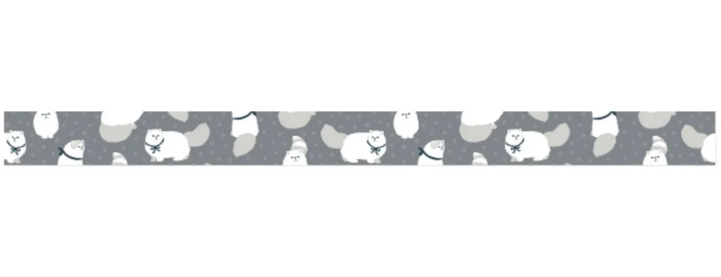 Dailylike Masking Tape v15