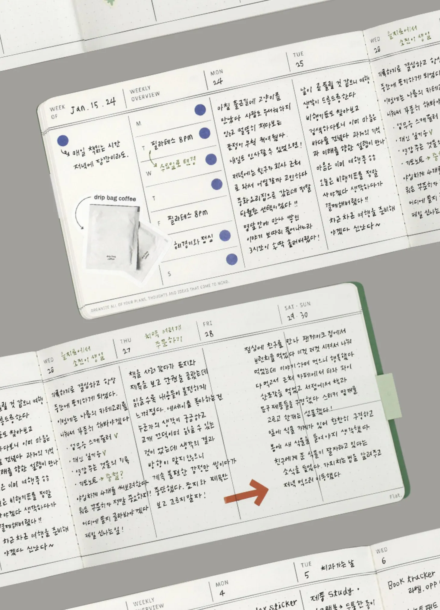 Flat Semi Year Weekly Pocket Scheduler
