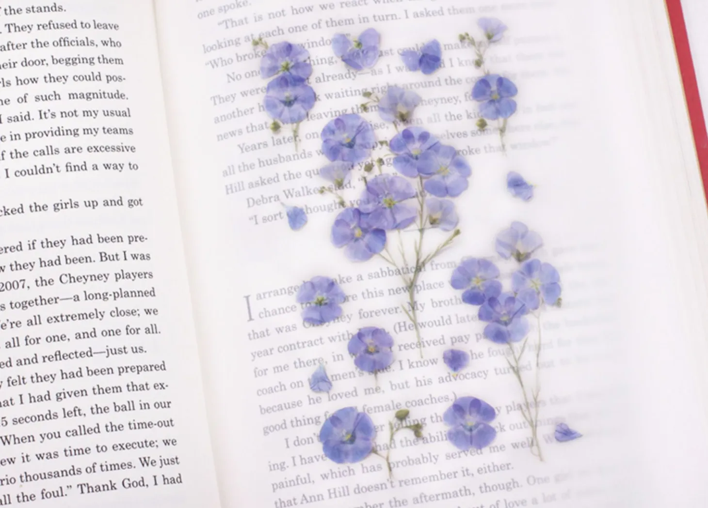 Flax Pressed Flower Sticker