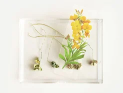 Flower Transparent Bookmark