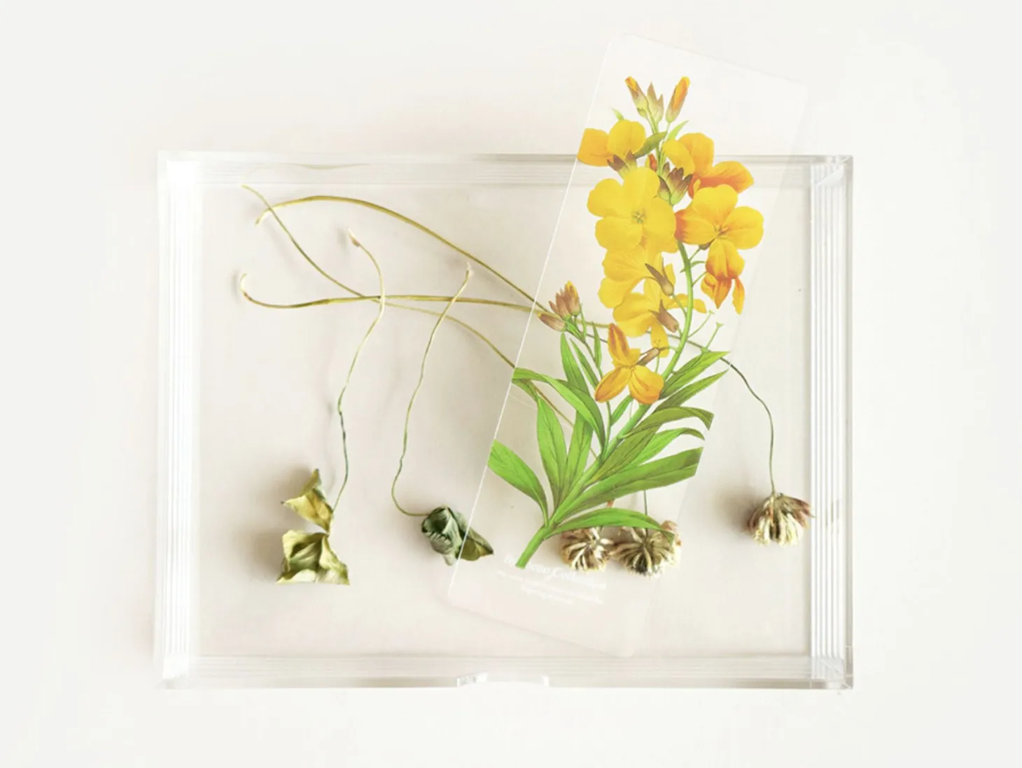 Flower Transparent Bookmark