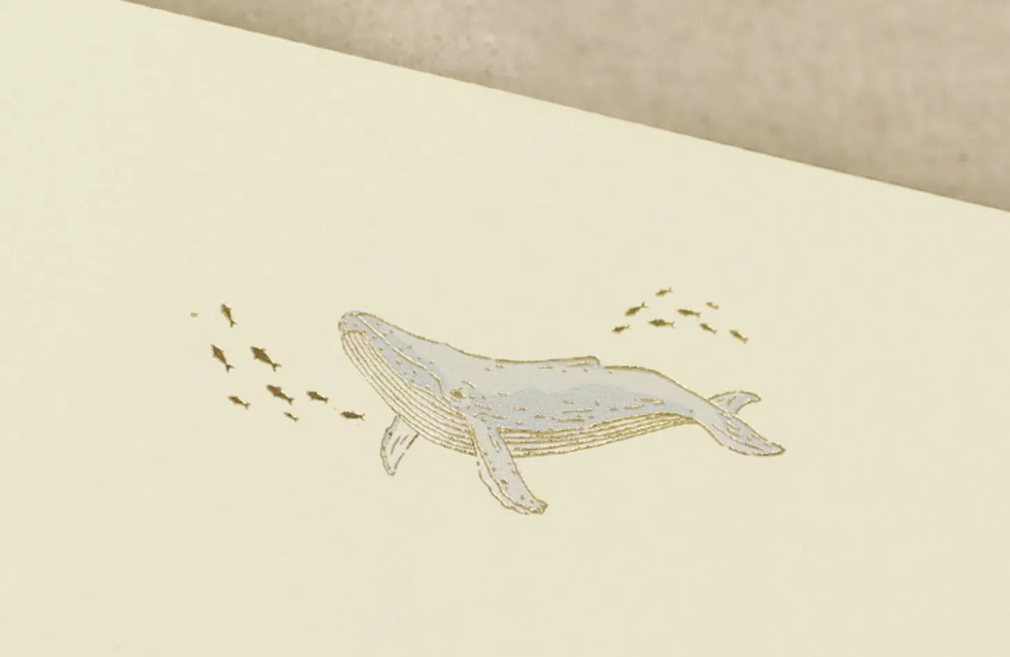 From the Sea Letter Set