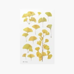 Ginkgo Pressed Flower Sticker