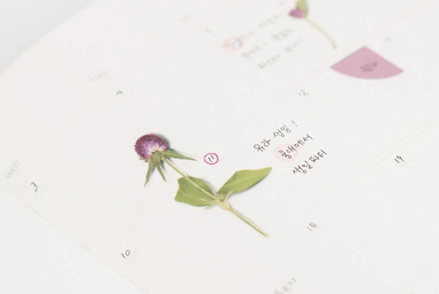 Globe Amaranth Pressed Flower Sticker