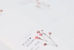 Gypsophila Pressed Flower Sticker