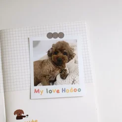Handwriting #3 Alphabet Deco Sticker