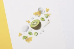 Kiwi Pressed Fruit Sticker
