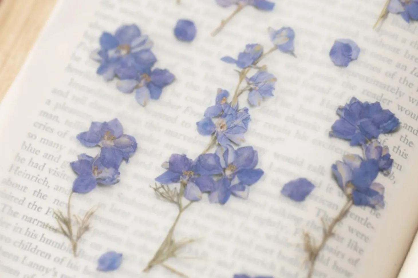 Larkspur Pressed Flower Sticker