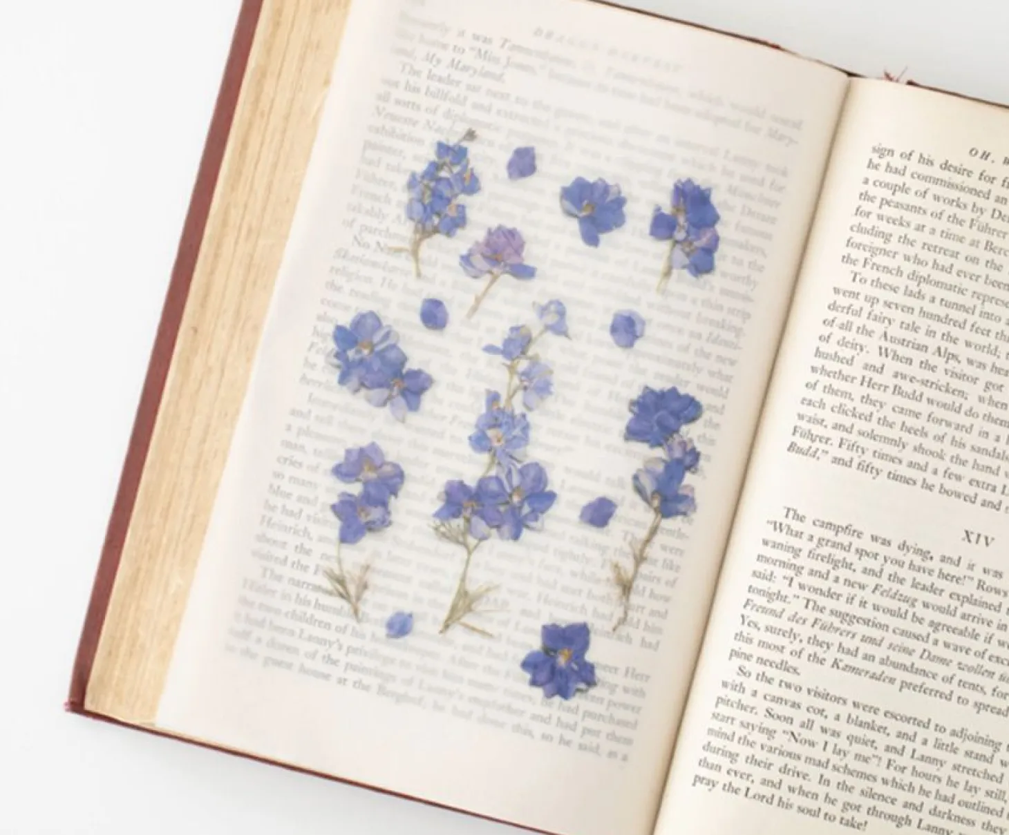 Larkspur Pressed Flower Sticker