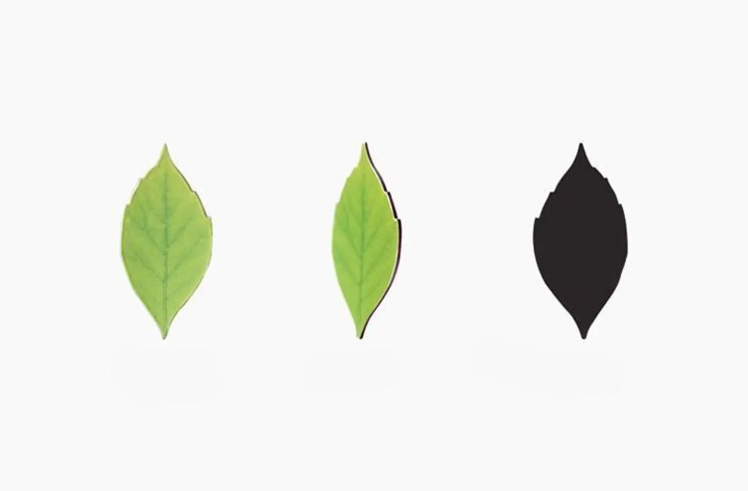Leaf Magnet Set