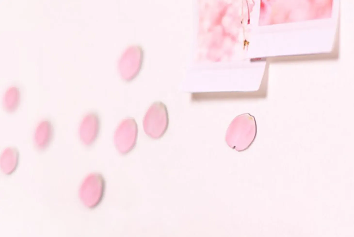 Leaf Magnet Set