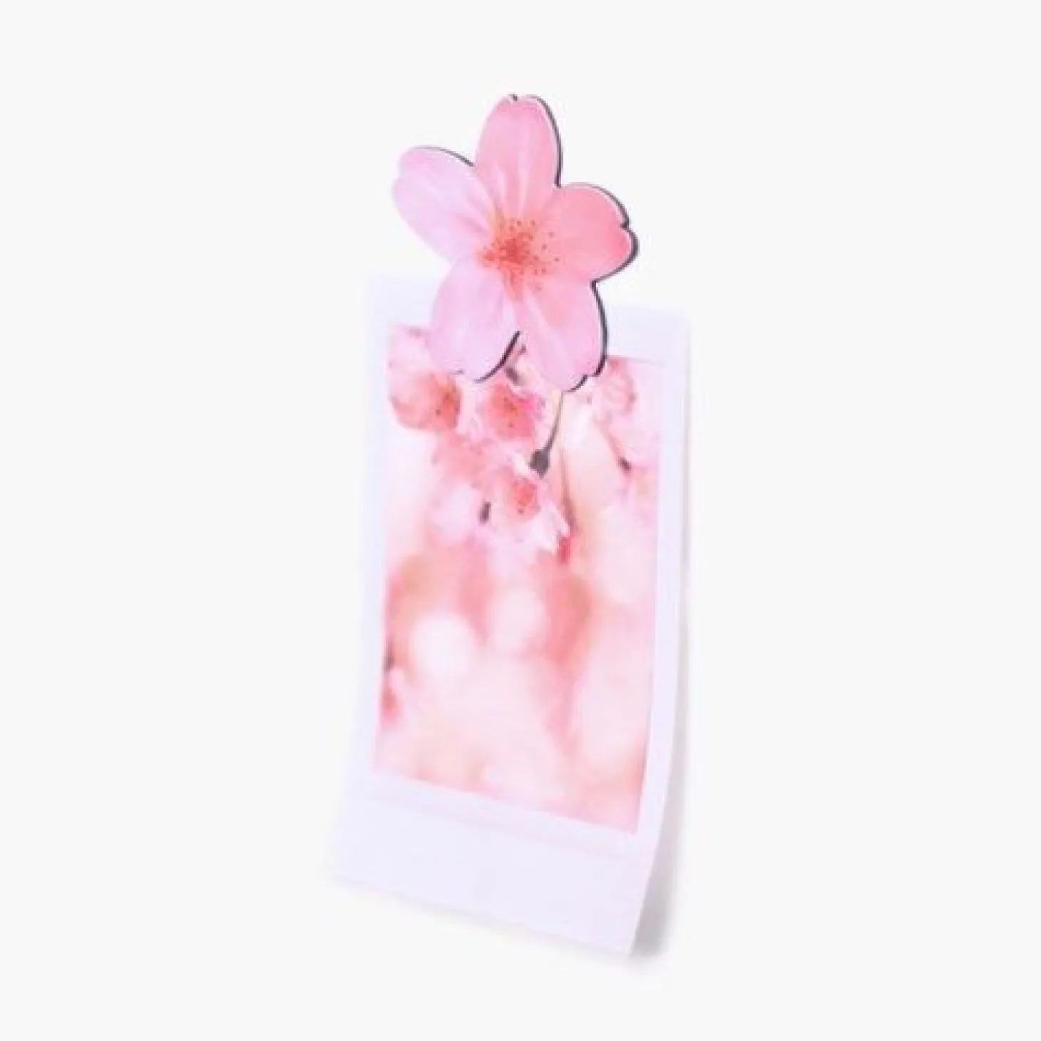 Leaf Magnet Set