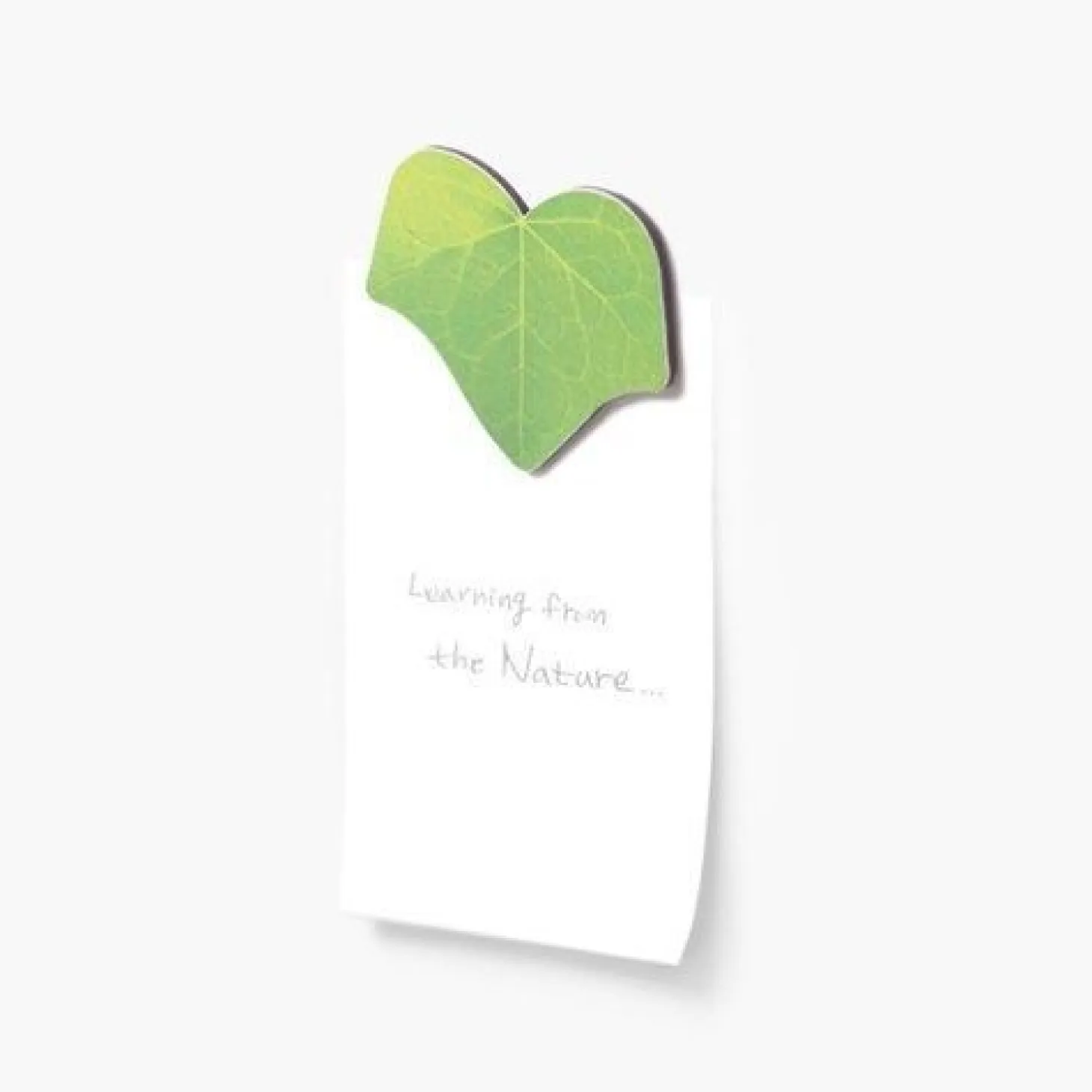 Leaf Magnet Set