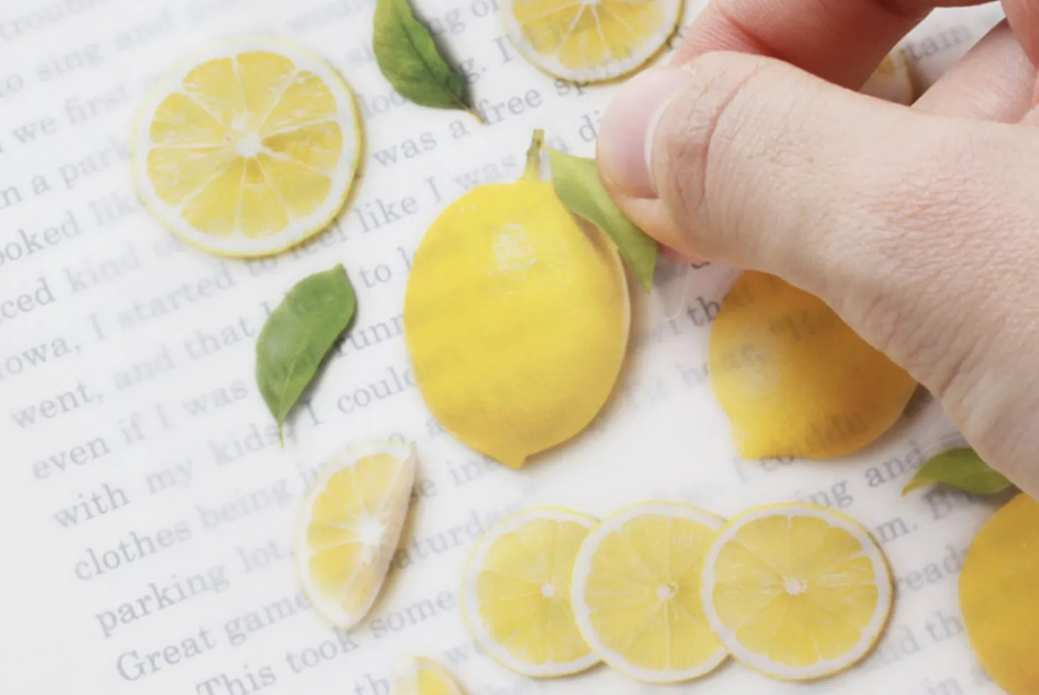 Lemon Pressed Fruit Sticker