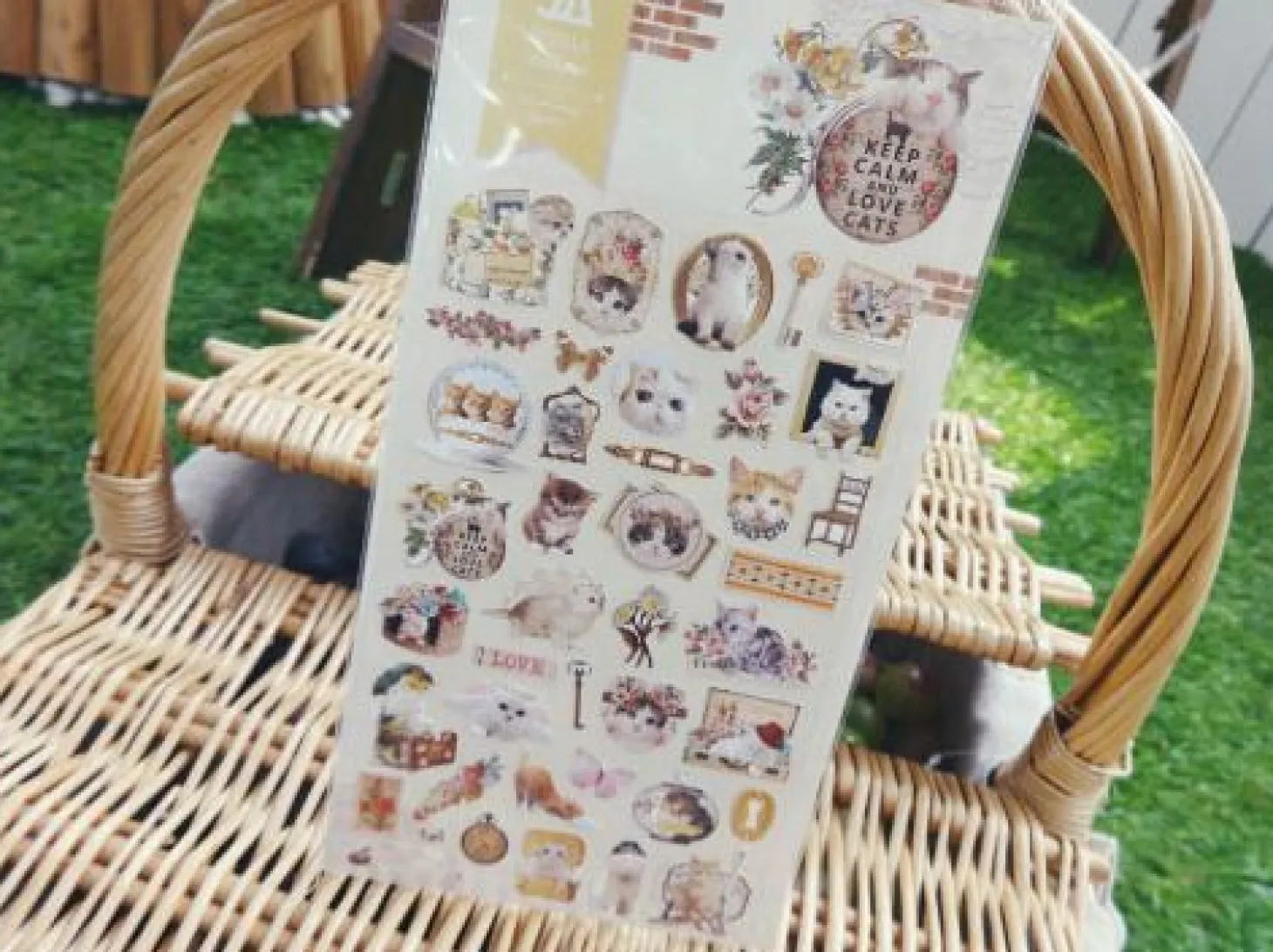 Lovely Cat/Dog Deco Sticker