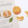 Mandarin Orange Pressed Fruit Sticker