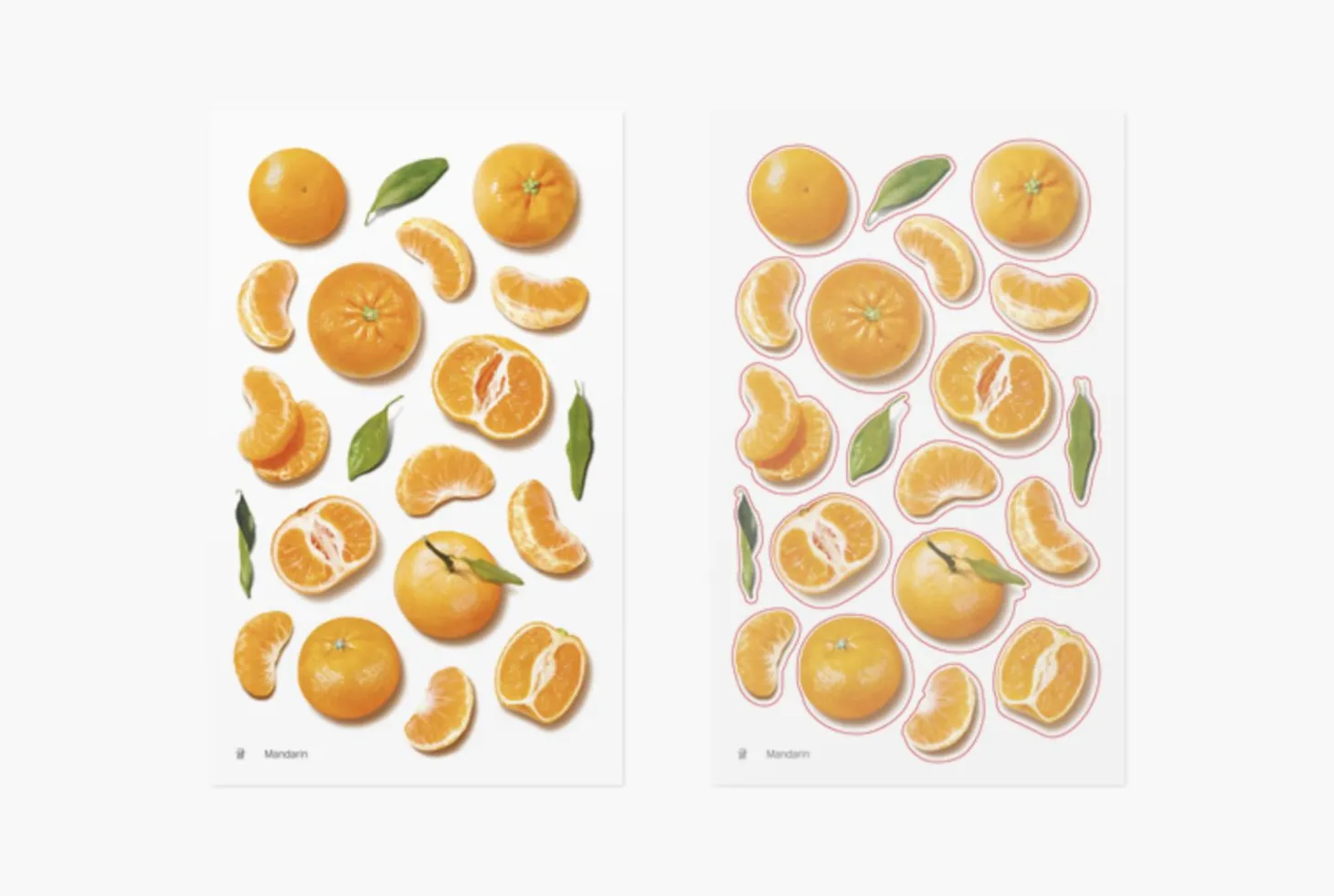 Mandarin Orange Pressed Fruit Sticker