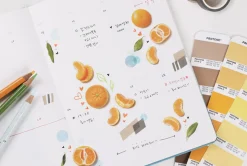 Mandarin Orange Pressed Fruit Sticker