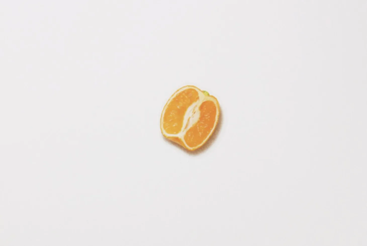 Mandarin Orange Pressed Fruit Sticker