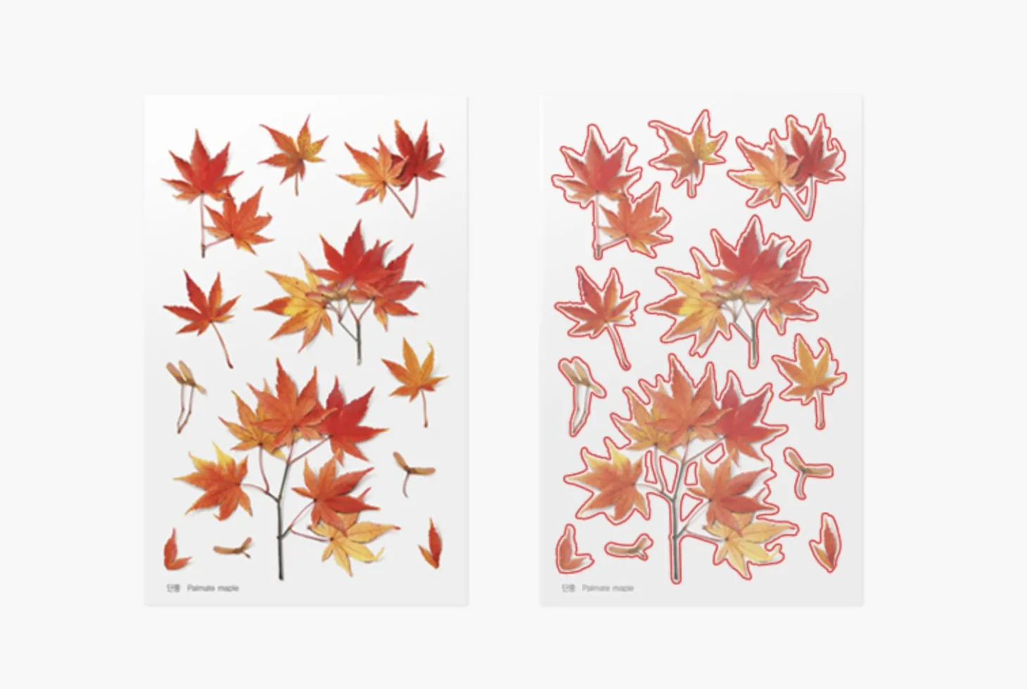Maple Pressed Flower Sticker