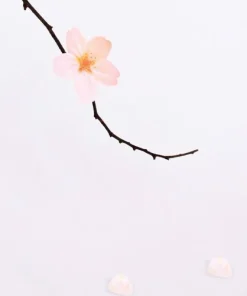 Medium Cherry Blossom Sticky Note