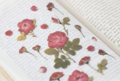 Mini Rose Pressed Flower Sticker