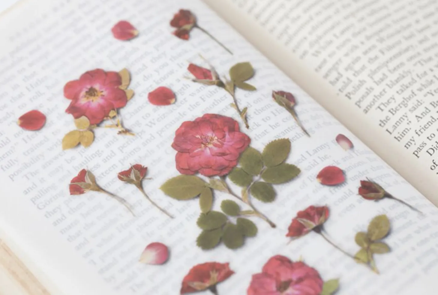 Mini Rose Pressed Flower Sticker
