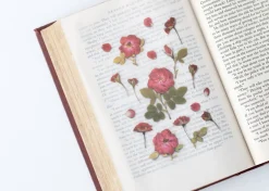 Mini Rose Pressed Flower Sticker