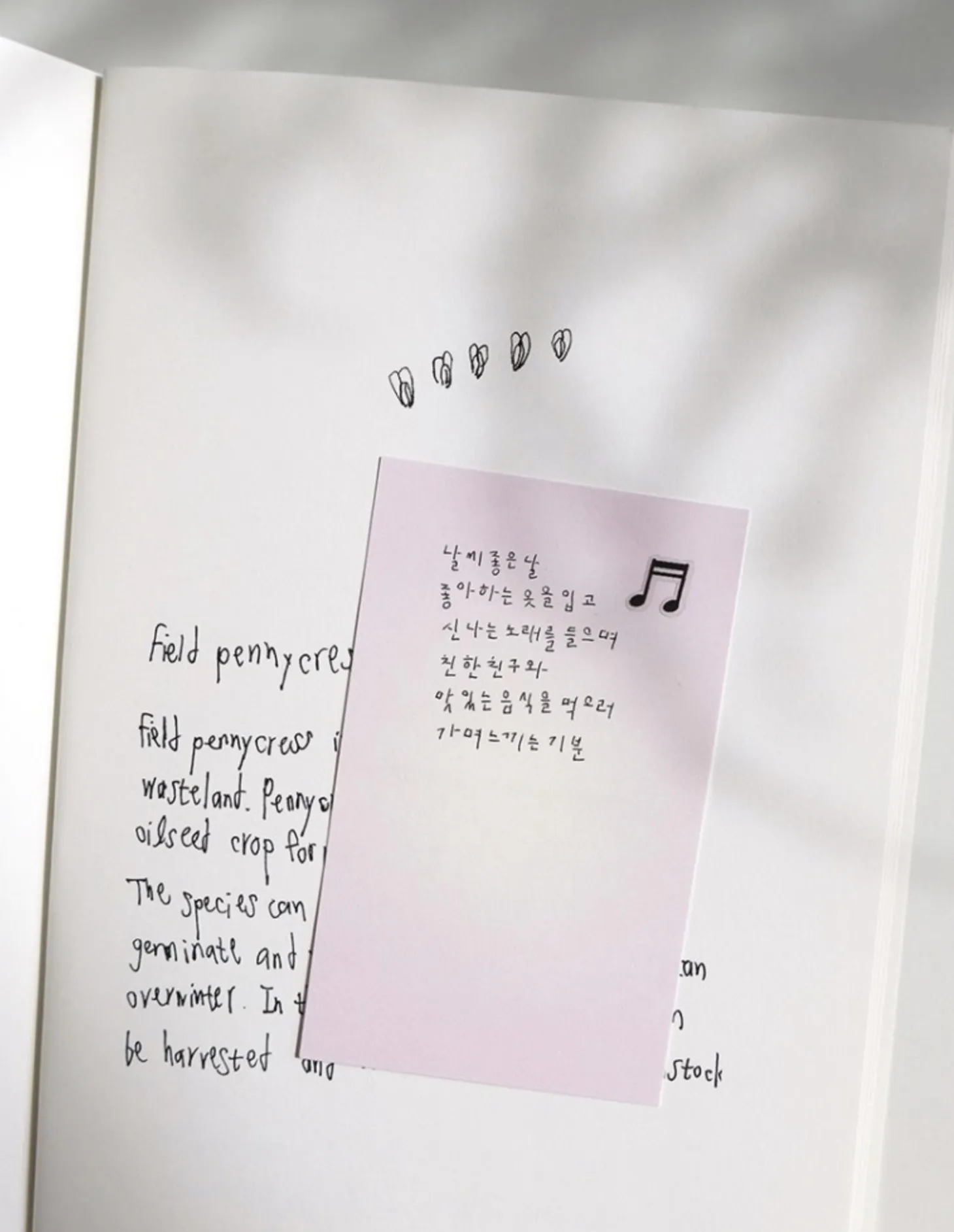 Music Note Deco Sticker