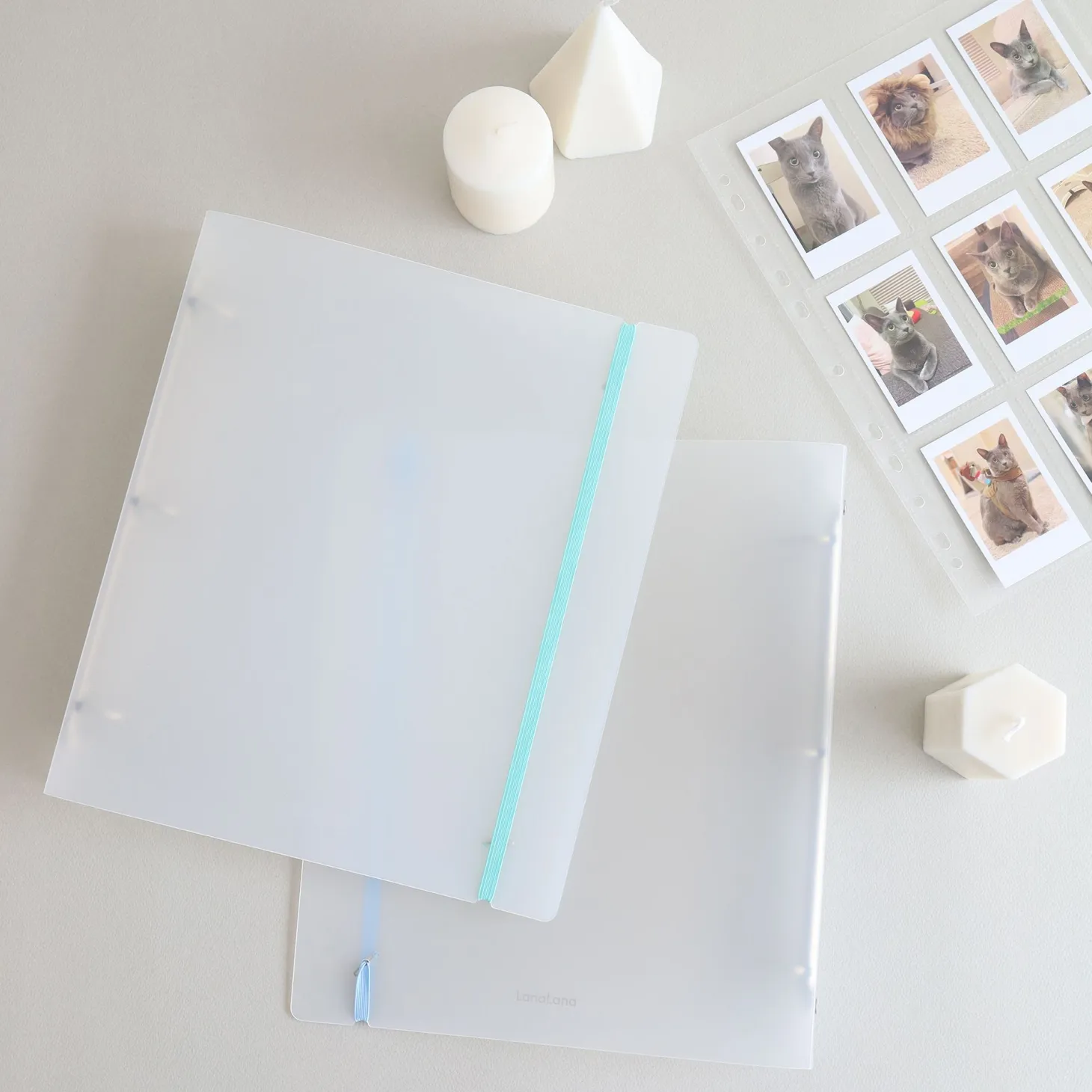 MYO 3 Ring A4 Binder Elastic Band