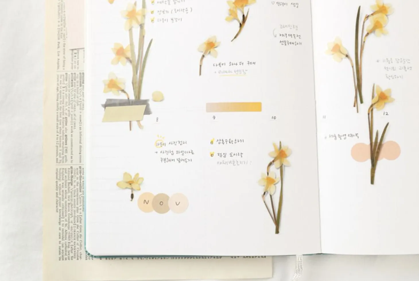 Narcissus Pressed Flower Sticker