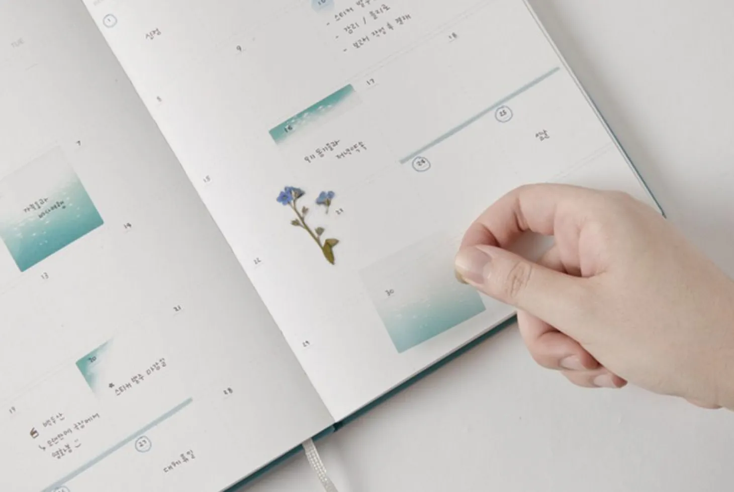Origin Diary Planner