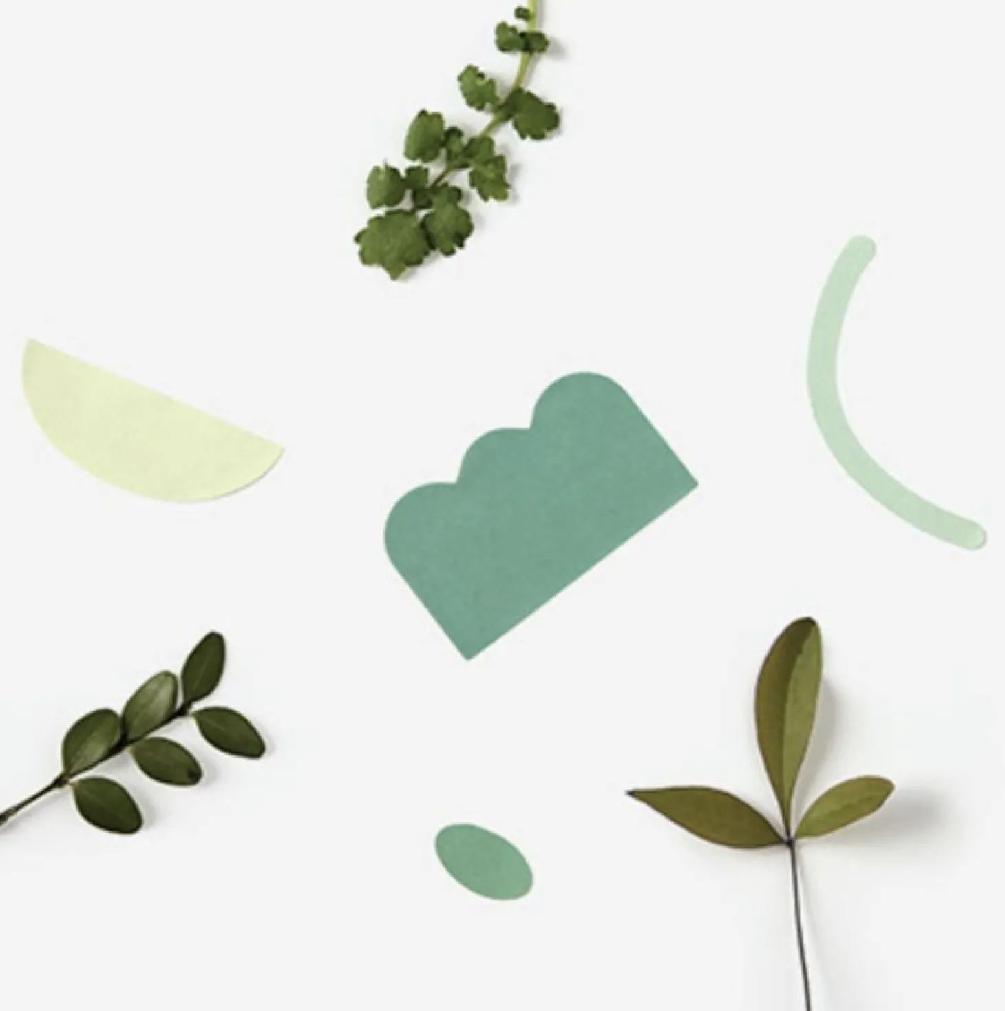 2pcs Natural Fun Pattern Sticker Set