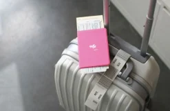 Plane Passport Case