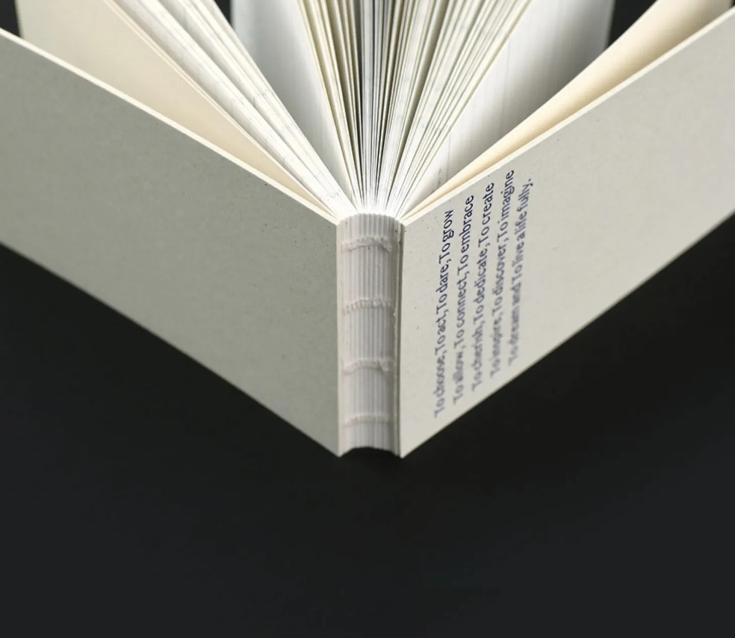 3-Row Daily Handy Planner