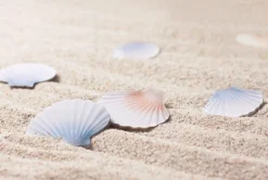 Scallop Sticky Note