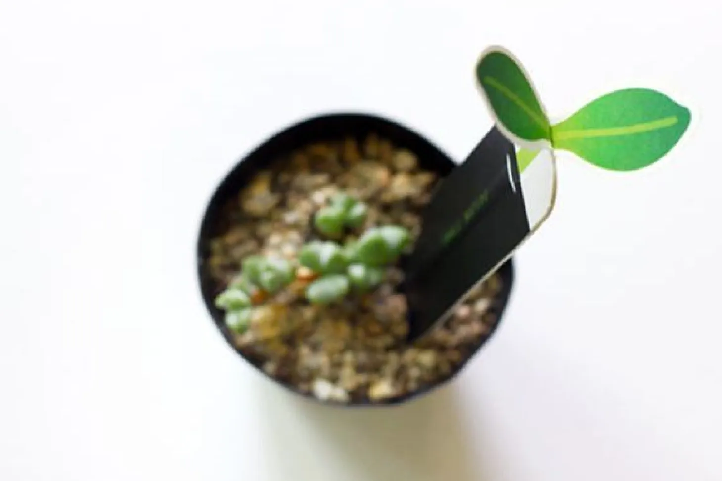 Slim Bookmark Pen