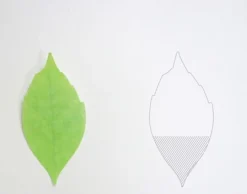 Small Leaf Sticky Note