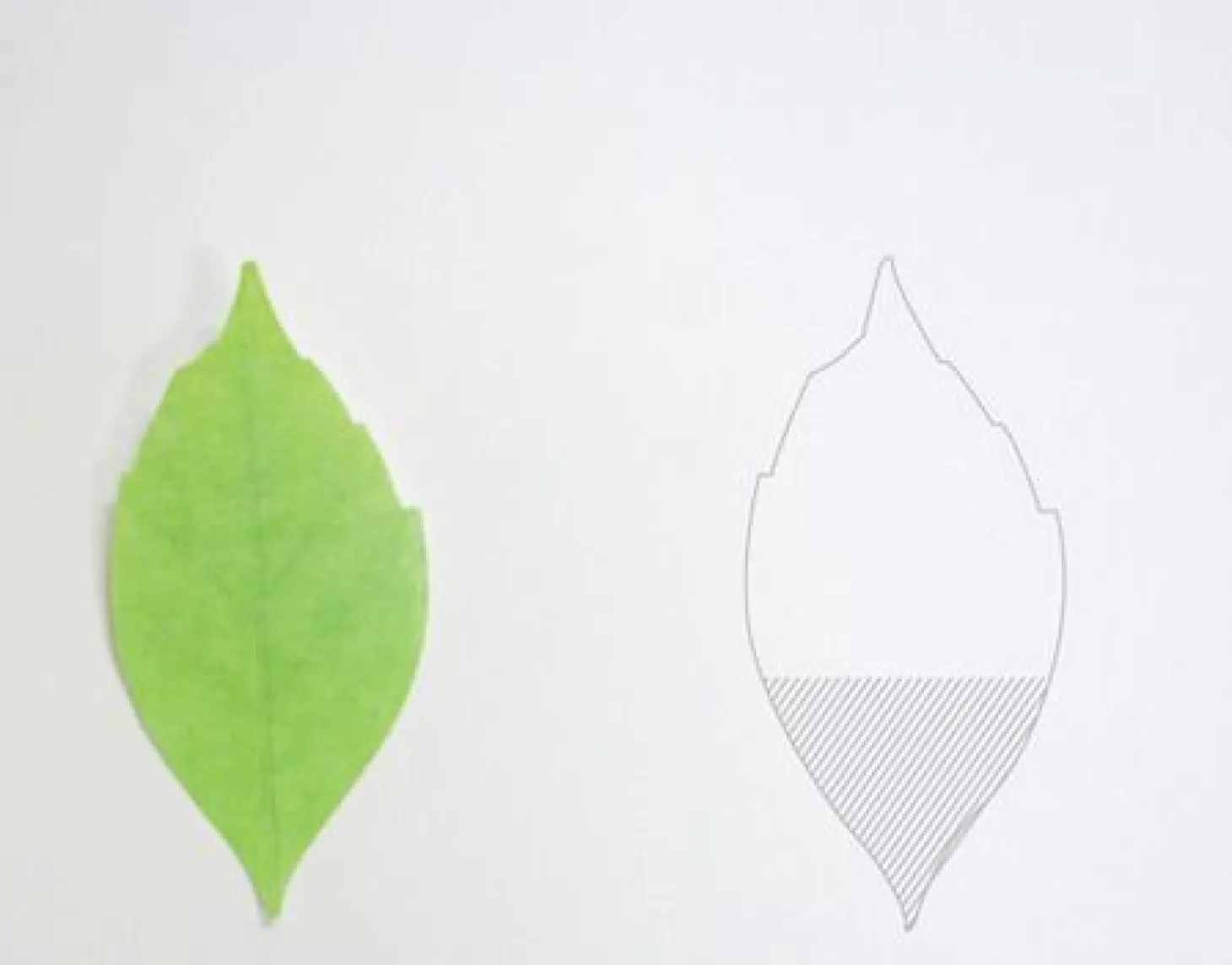 Small Leaf Sticky Note