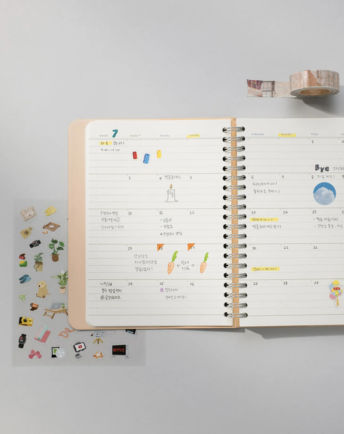 Small 6 Month Daily Manager Planner