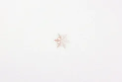 Snowflake Nature Sticker