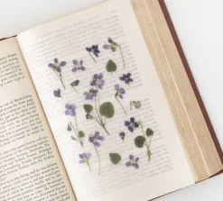 Violet Pressed Flower Sticker